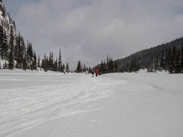 whistler.jpg