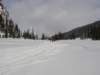 whistler_small.jpg