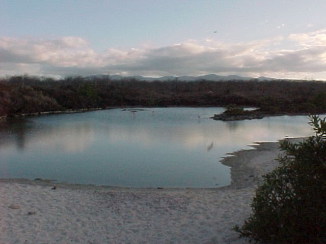 galapagosislands.jpg