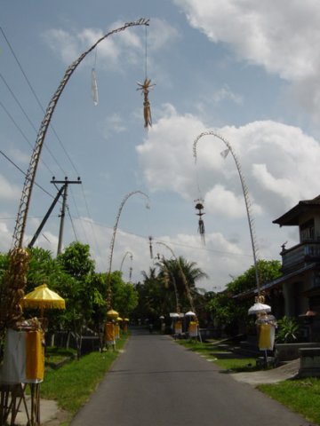 bali2.jpg