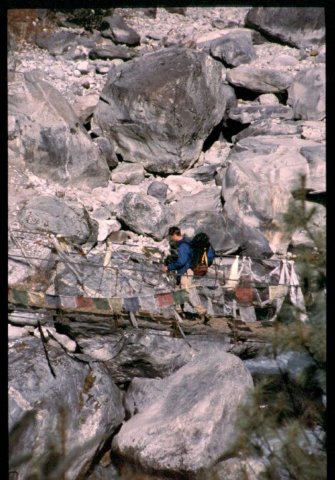 crossingaropebridge.jpg