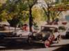 autumnfestivalarrowtown_small.jpg