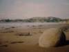 weirdalieneggsonthebeach_small.jpg