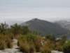 capetown14_small.jpg