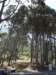 capetown21_small.jpg