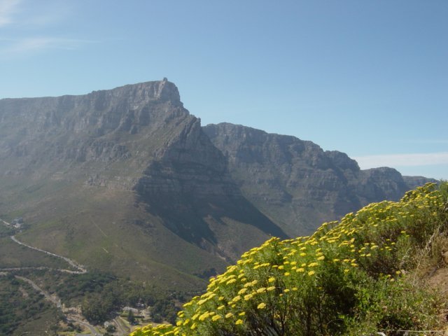 capetown8.jpg