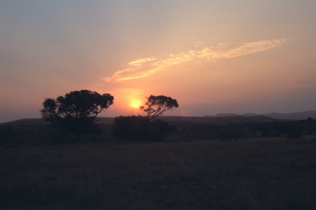sunset.jpg