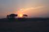 sunset_small.jpg