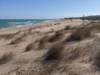 beachatguardamar_small.jpg