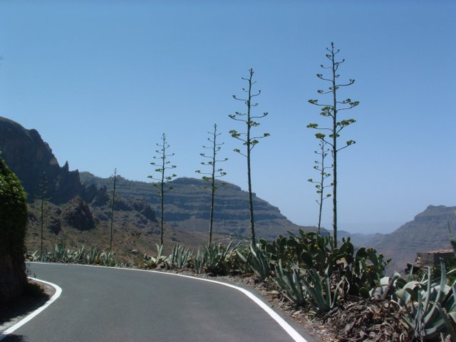 grancanaria17.jpg