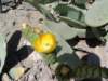 grancanaria18_small.jpg