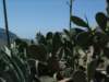 grancanaria19_small.jpg