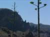 grancanaria20_small.jpg