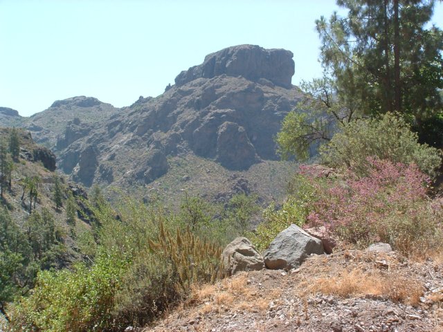 grancanaria21.jpg