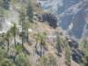 grancanaria22_small.jpg