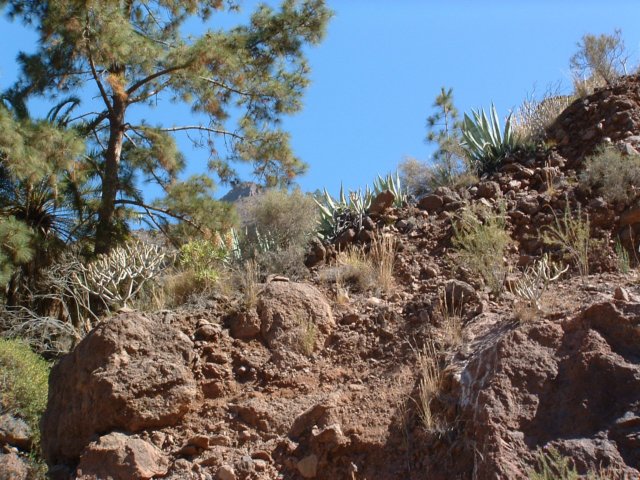 grancanaria4.jpg