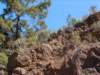 grancanaria4_small.jpg