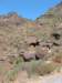 grancanaria7_small.jpg